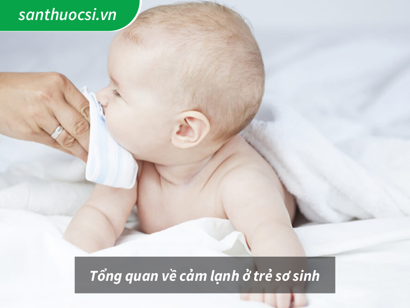 Tổng quan về cảm lạnh ở trẻ sơ sinh