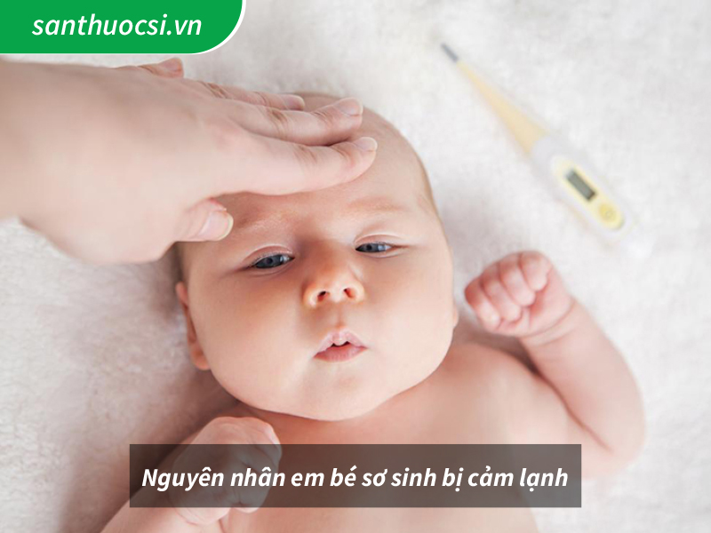 Nguyên nhân em bé sơ sinh bị cảm lạnh