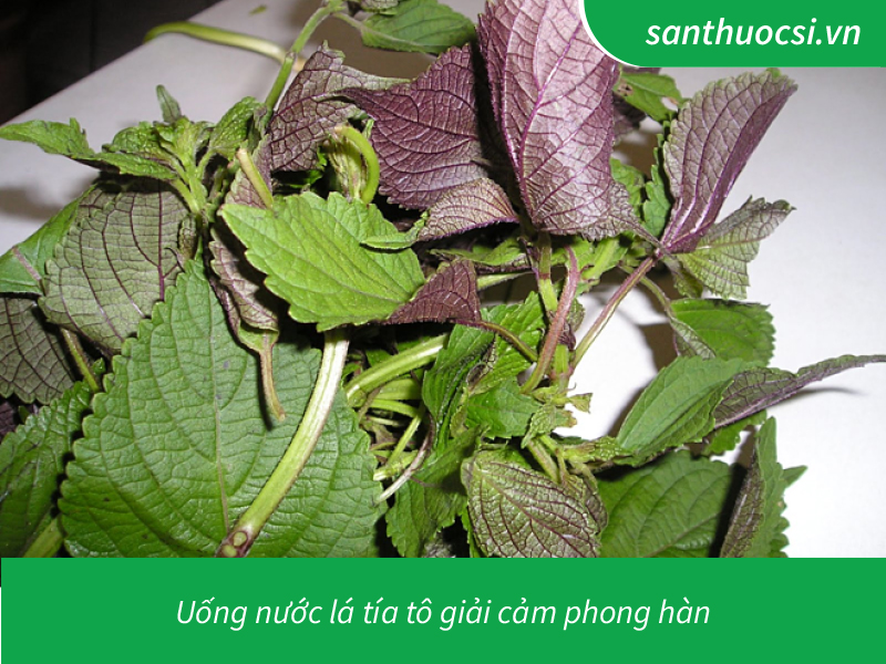 Dấu hiệu chứng tỏ bị cảm lạnh phong hàn