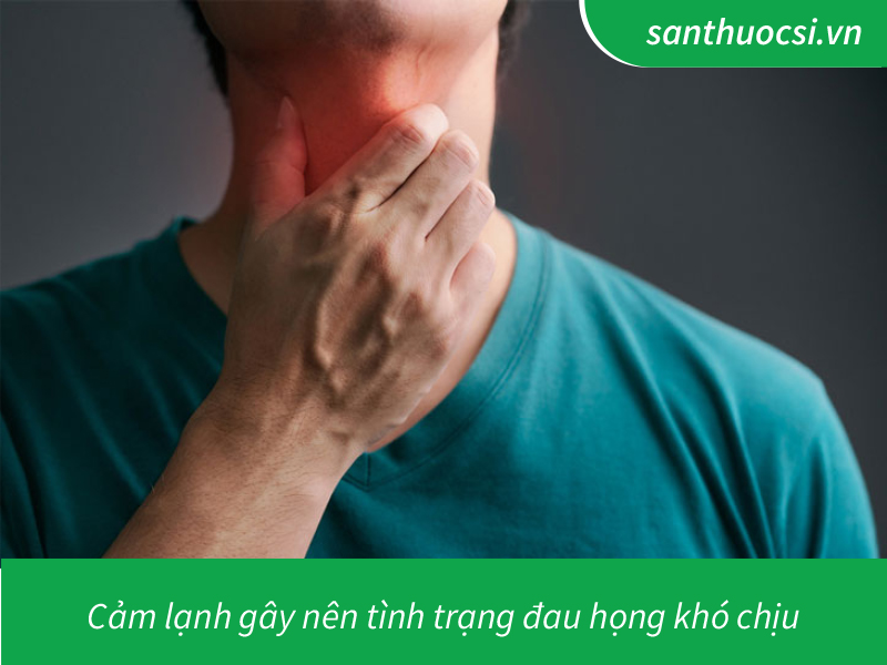 cảm lạnh đau họng