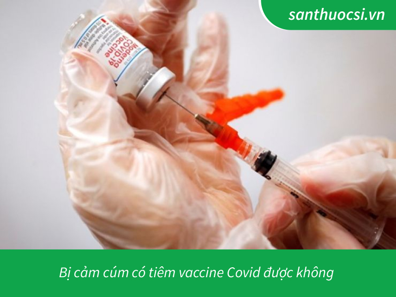 bị cảm cúm có tiêm vaccine covid được không