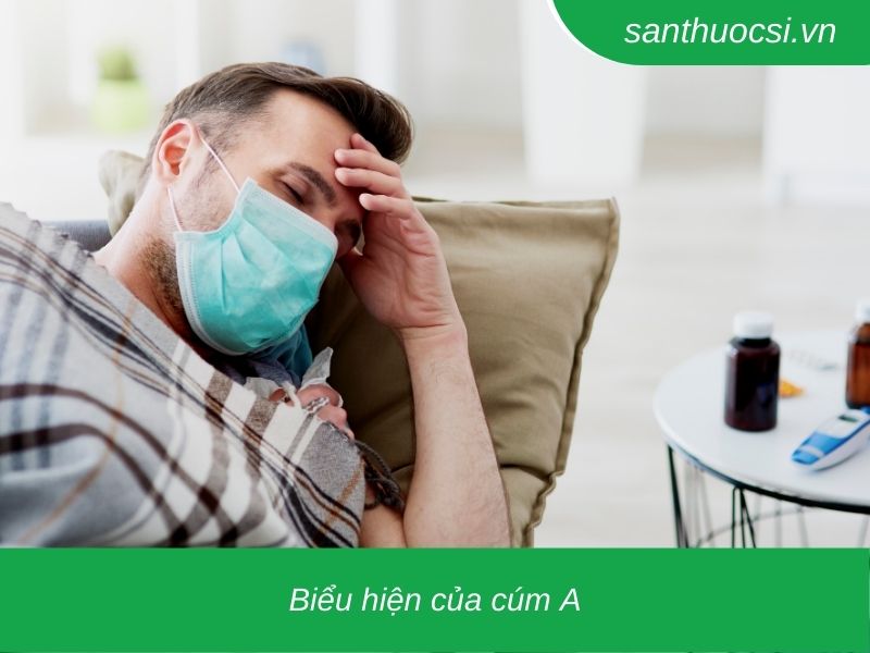 Biểu hiện của cúm A