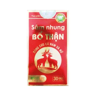 3558 5bb0a95755d949778c2339785173efce.webp