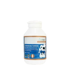 458918 21ed71ce9a7147e6b5b8418da197729c.webp