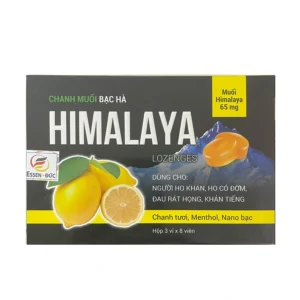 5369 93e800e2f437460e9413b6b55756d616.webp