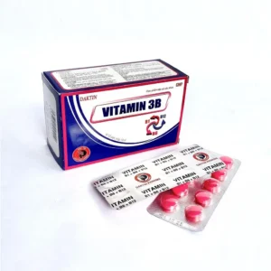 86756 d1665a540b484bc4a4a690112f7bbc74.webp