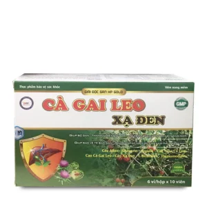 2026 2ad85f420b5c4446bb2aa5af99b675b0.webp