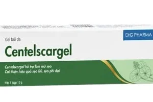 253641 94a7baeb379b4092989dfa9bb425ce13.webp