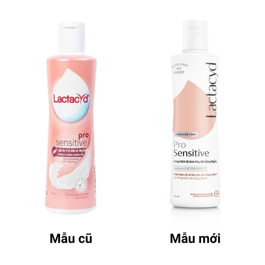 3055 c47eff3aa3704f50b7eb98eb2153052f.webp 3055 c47eff3aa3704f50b7eb98eb2153052f.webp