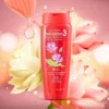 Dầu xả Thái Dương 3 Hoa sen lọ 200ml 3506 821cbfe8ca424decb76ffac083137058.webp