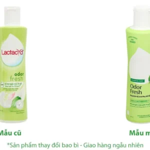 5327 3b6e09109b82494481c796c760f1894e.webp