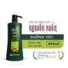 Dầu gội dược liệu Nguyên Xuân dưỡng tóc xanh lá có vòi 450ml Hoa Linh 6462 03b8c12411d44c02a67c027f736fb5b6.webp